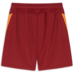 PUMA Galatasaray Istanbul Trainingsshorts 2025/26 Kinder