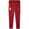 PUMA Galatasaray Istanbul Trainingshose 2025/26 Kinder