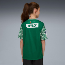 PUMA Füchse Berlin Heimtrikot 2025/26 Kinder