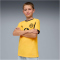 PUMA BVB Borussia Dortmund Cup Trikot 2025/26 Kinder