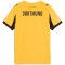 PUMA BVB Borussia Dortmund Cup Trikot 2025/26 Kinder