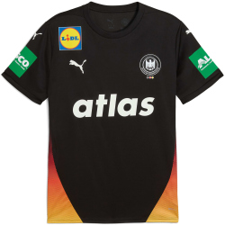 PUMA DHB Deutschland Auswärtstrikot 2026 Herren