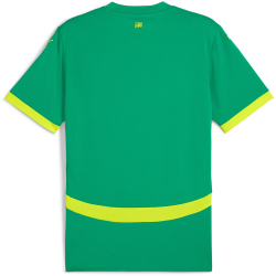 PUMA FSF Senegal Auswärtstrikot 2025 Herren