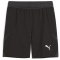 PUMA teamFINAL Shorts Herren