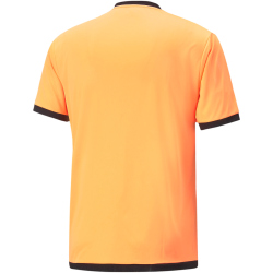 PUMA teamLIGA Referee Schiedsrichtershorts Herren