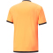 PUMA teamLIGA Referee Schiedsrichtershorts Herren