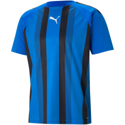 PUMA teamLIGA Striped Trikot Herren
