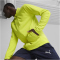 PUMA teamFINAL Trainingsjacke Herren