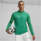 PUMA teamFINAL 1/4-Zip Trainings-Top Herren