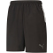 PUMA teamLIGA Sideline Trainingsshorts Herren