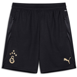 PUMA Galatasaray Istanbul Trainingsshorts 2025/26 Herren...