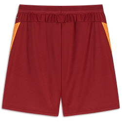 PUMA Galatasaray Istanbul Trainingsshorts 2025/26 Herren...