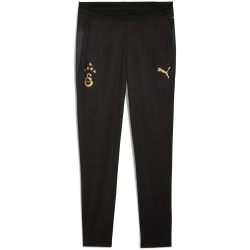PUMA Galatasaray Istanbul Trainingshose 2025/26 Herren 10...