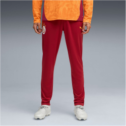 PUMA Galatasaray Istanbul Trainingshose 2025/26 Herren 01...