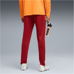 PUMA Galatasaray Istanbul Trainingshose 2025/26 Herren 01...