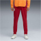 PUMA Galatasaray Istanbul Trainingshose 2025/26 Herren 01 - red rhythm XS