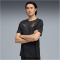 PUMA Galatasaray Istanbul Trainingsshirt 2025/26 Herren 10 - PUMA black XS