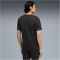 PUMA Galatasaray Istanbul Trainingsshirt 2025/26 Herren 10 - PUMA black XS