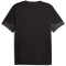 PUMA Galatasaray Istanbul Trainingsshirt 2025/26 Herren 10 - PUMA black XS