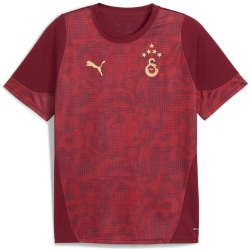 PUMA Galatasaray Istanbul Trainingsshirt 2025/26 Herren 03 - team regal red XS