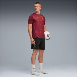 PUMA Galatasaray Istanbul Trainingsshirt 2025/26 Herren 03 - team regal red XS