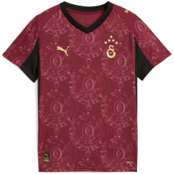 PUMA Galatasaray Istanbul Ausweichtrikot 2025/26 ohne...