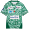 PUMA Füchse Berlin Heimtrikot 2025/26 Kinder 01 - power green/puma white 140