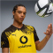 PUMA BVB Borussia Dortmund Authentic Heimtrikot 2025/26 Herren 01 - faster yellow/puma black S