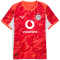 PUMA BVB Borussia Dortmund kurzarm Torwarttrikot 2025/26 Herren 99 - glowing red/silver mist S