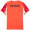 PUMA BVB Borussia Dortmund kurzarm Torwarttrikot 2025/26 Herren 99 - glowing red/silver mist S