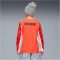 PUMA BVB Borussia Dortmund Torwarttrikot 2025/26 Kinder 99 - glowing red/silver mist 116