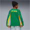 PUMA BVB Borussia Dortmund Torwarttrikot 2025/26 Kinder 98 - archive green/intense orange 116