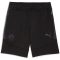 PUMA FC St. Pauli Evostripe Sweatshorts Herren 12 - PUMA black/flat dark gray XXL