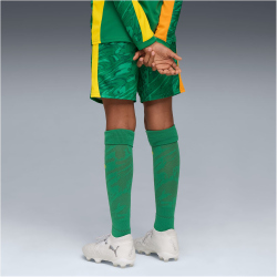 PUMA BVB Borussia Dortmund Torwartshorts 2025/26 Kinder...