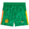 PUMA BVB Borussia Dortmund Torwartshorts 2025/26 Kinder 98 - archive green/intense orange 128