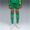 PUMA BVB Borussia Dortmund Torwartshorts 2025/26 Kinder 98 - archive green/intense orange 128