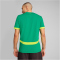 PUMA FSF Senegal Auswärtstrikot 2025 Herren 03 - sport green/electric lime S