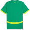 PUMA FSF Senegal Auswärtstrikot 2025 Herren 03 - sport green/electric lime S