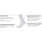 4er Pack s.Oliver Originals Bio-Baumwolle Rib Crew Socken