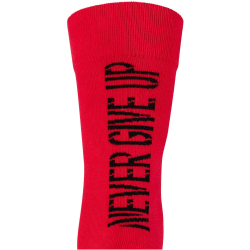 4er Pack CAMP DAVID Casual Legend Crew Socken Herren