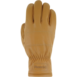 Roeckl Sports Kronau Handschuhe