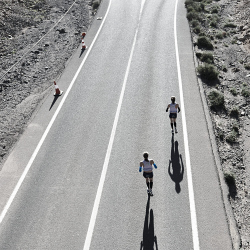 BAUERFEIND Sports Kompressionsbandage Arm rivera extra long L