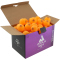 72er Pack JOOLA Magic ABS 40+ Tischtennisbälle orange
