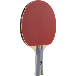 JOOLA Team School Tischtennisschläger