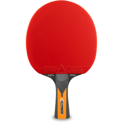 JOOLA Carbon Control Tischtennisschläger