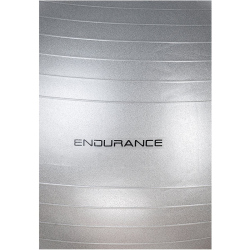 ENDURANCE Pilatesball 65 cm 8889 - silver 65 cm