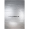 ENDURANCE Pilatesball 55 cm 8889 - silver 55 cm