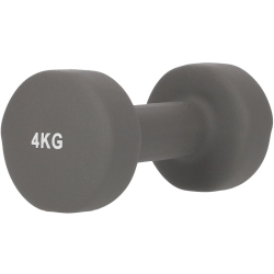 ENDURANCE Kurzhantel 4 kg 1004 - pearl grey 4 KG