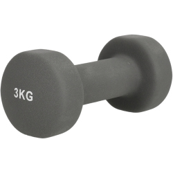 ENDURANCE Kurzhantel 3 kg 1010 - frost gray 3 KG
