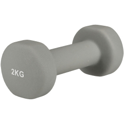 ENDURANCE Kurzhantel 2 kg 1004 - pearl grey 2 KG